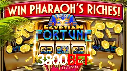 Descubra o Mundo do Cassino Online com 3800bet