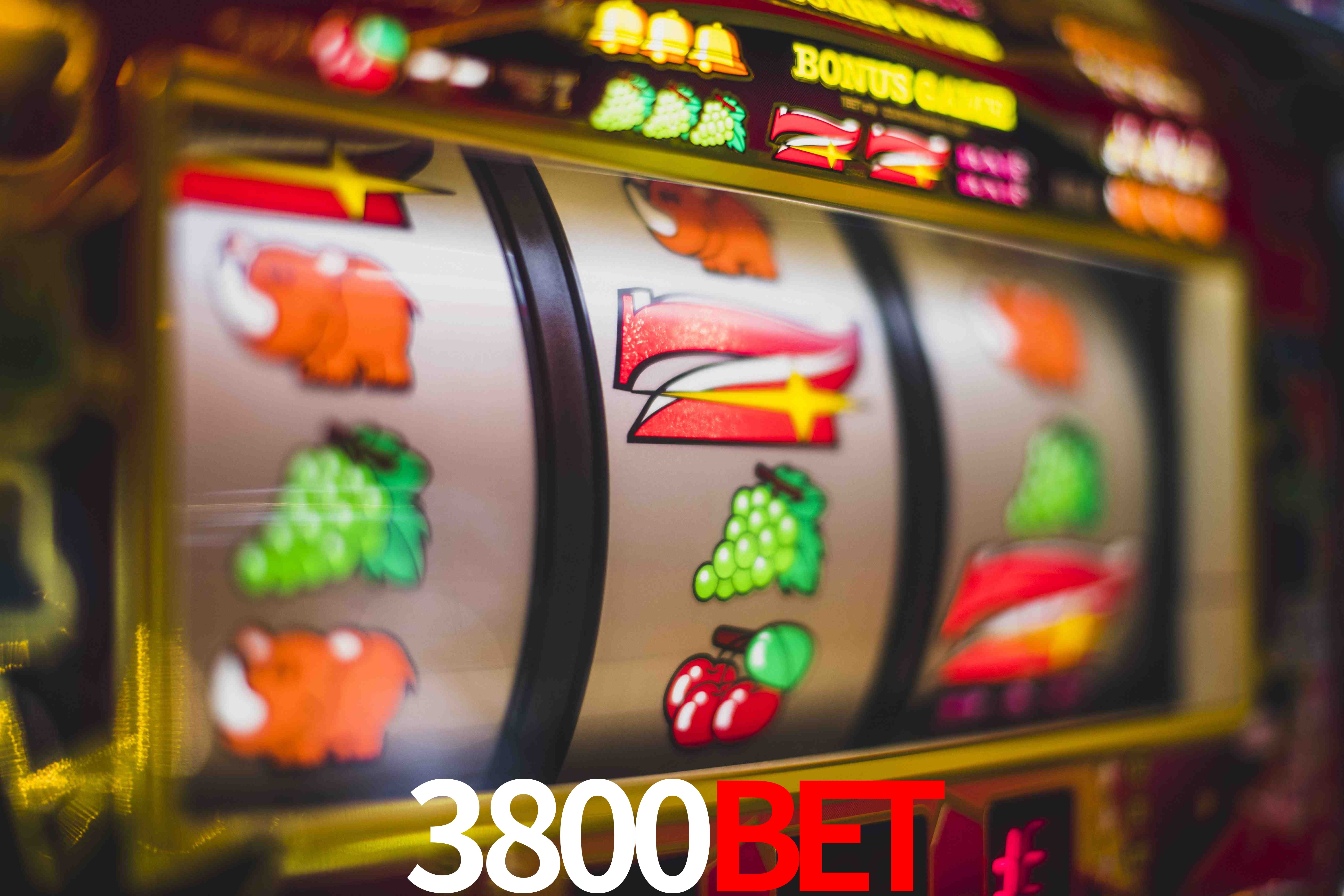 Crash Games Statistics 3800bet